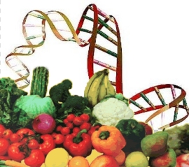 Nutrigenomica