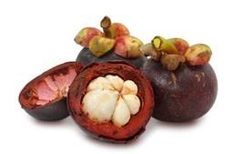 Garcinia mangostana L.